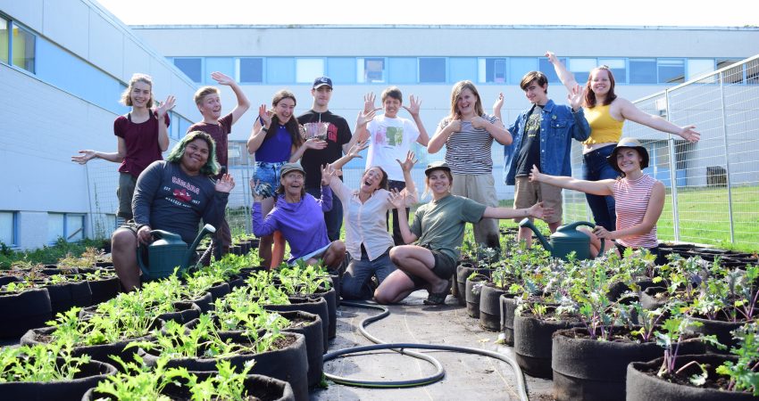 Seed the City Summer Program